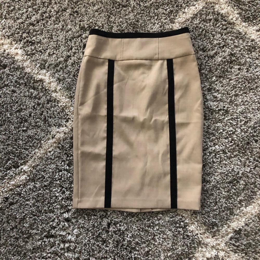 Pencil Skirt